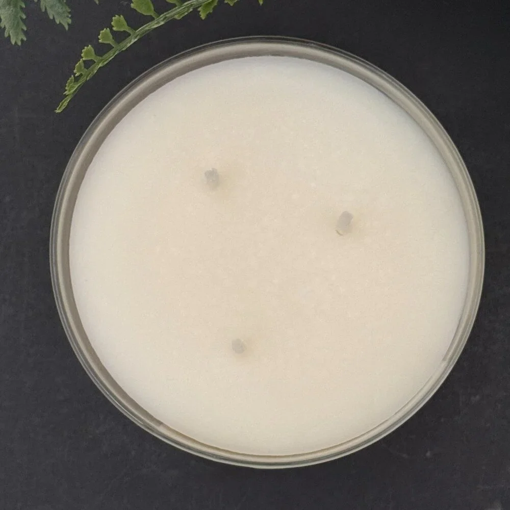 BBW Caribbean Escape Bath & Body Works 3 Wick Candle - Picture 7 of 10